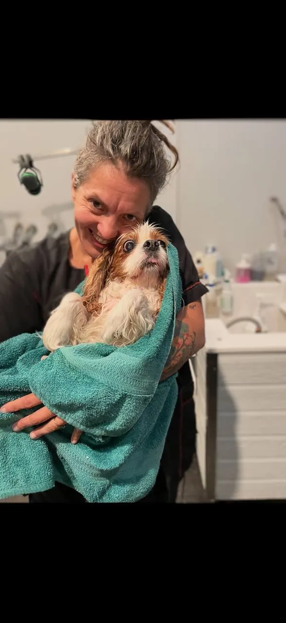 Dog spa Neenah groomer