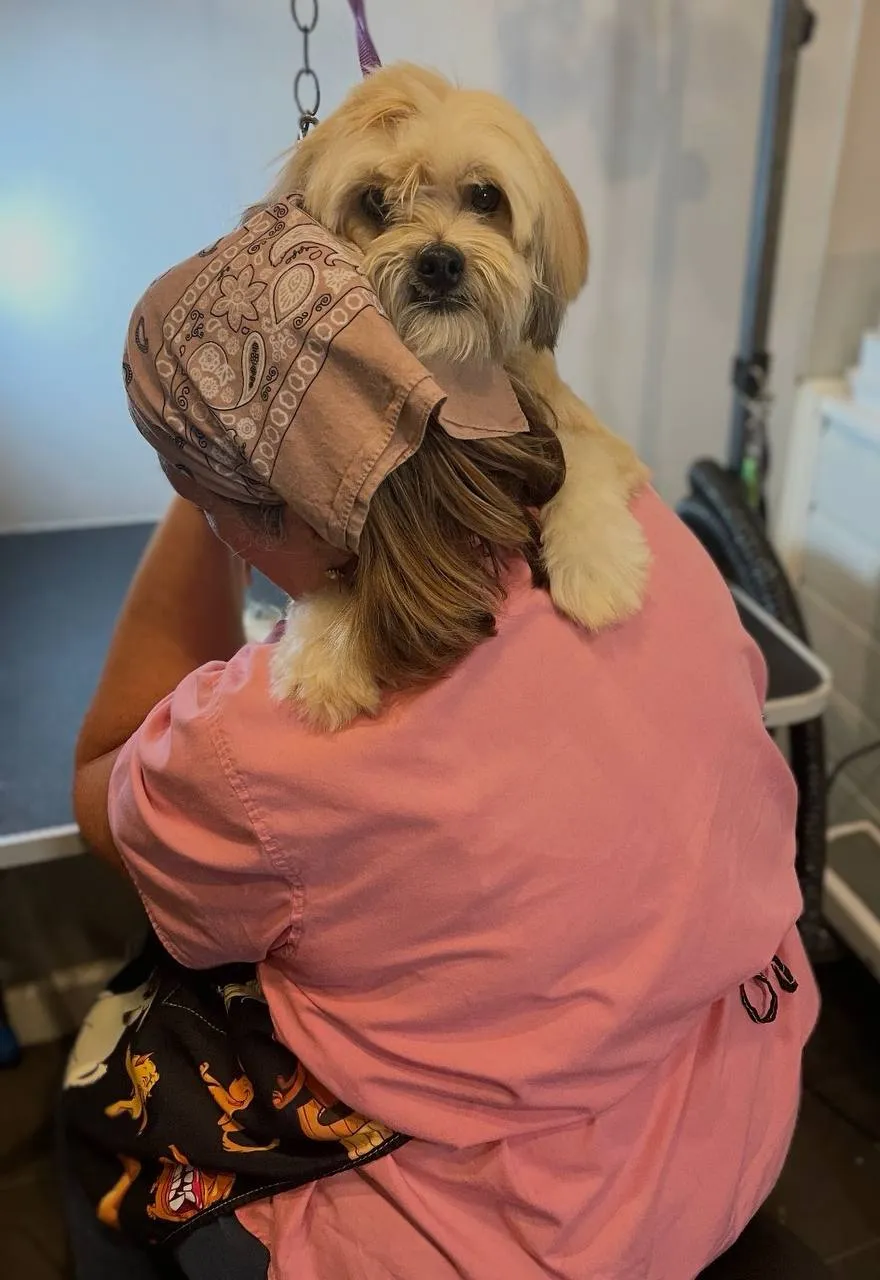 Happy pup dog spa day Neenah