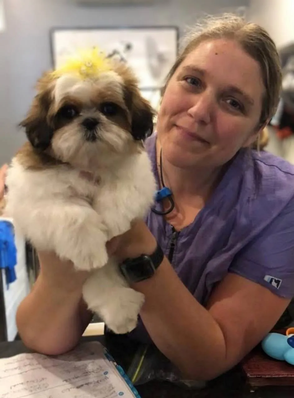 Full groom result Neenah WI groomer